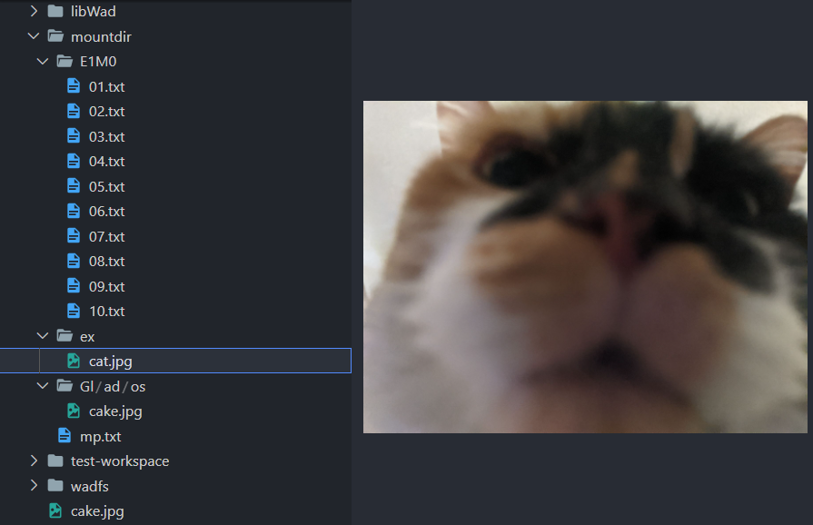 Screenshot of an explorer window showing the mounted filesystem and an image inside.